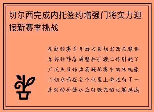 切尔西完成内托签约增强门将实力迎接新赛季挑战